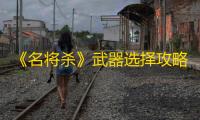 《名将杀》武器选择攻略